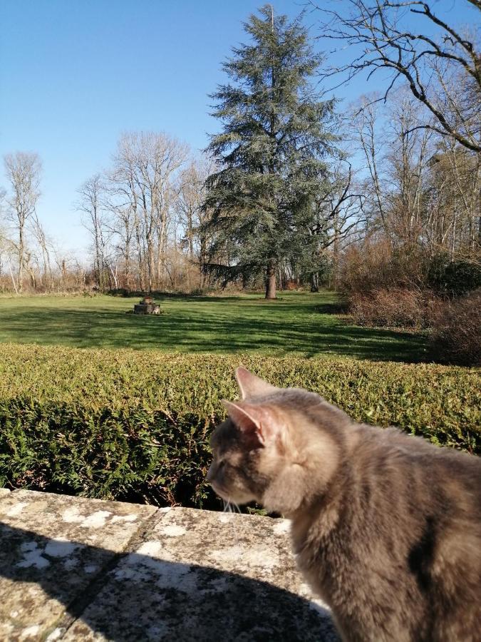 Bed and Breakfast Domaine De Prefond Bengy-sur-Craon Exterior foto