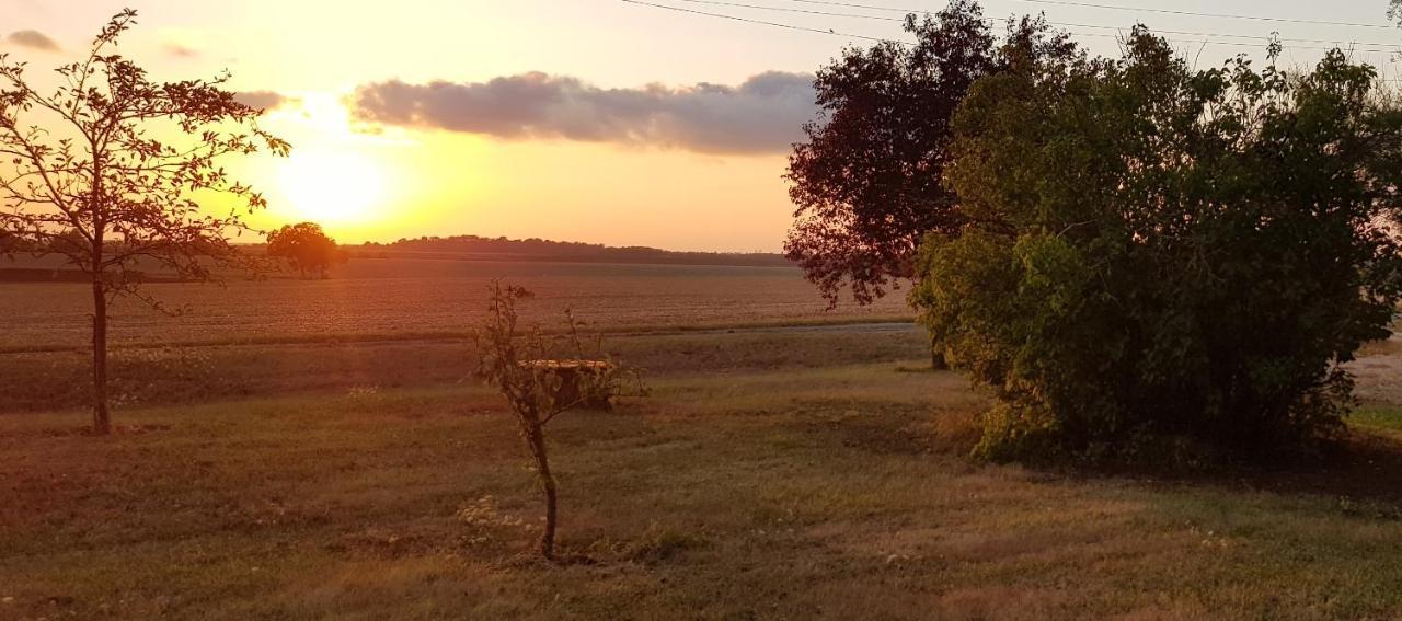 Bed and Breakfast Domaine De Prefond Bengy-sur-Craon Exterior foto