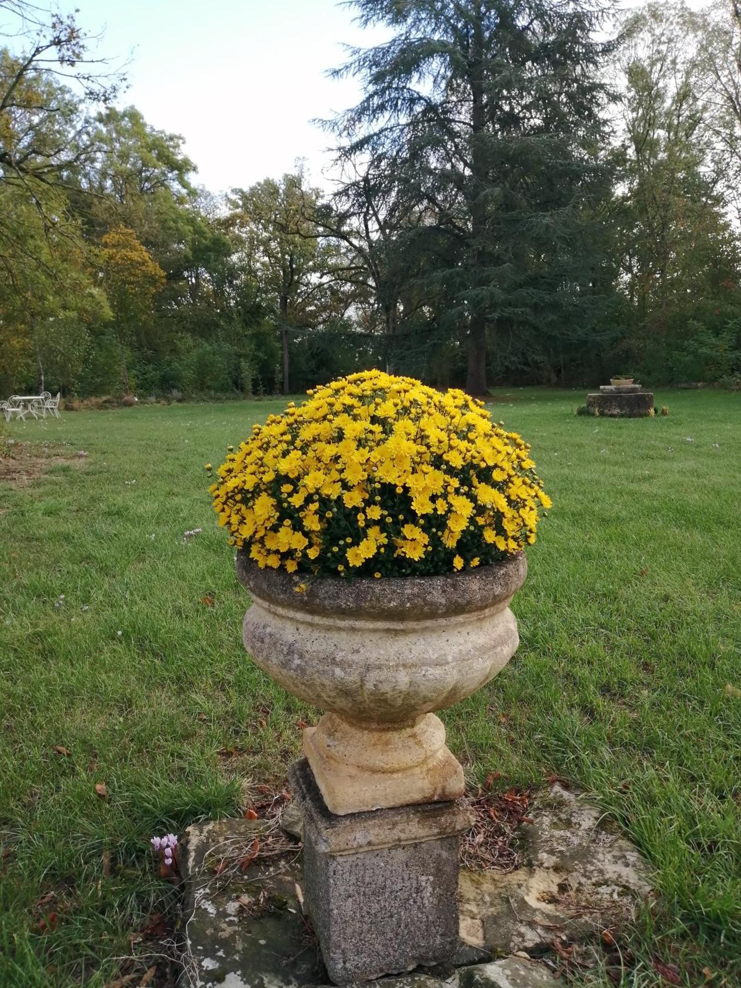 Bed and Breakfast Domaine De Prefond Bengy-sur-Craon Exterior foto