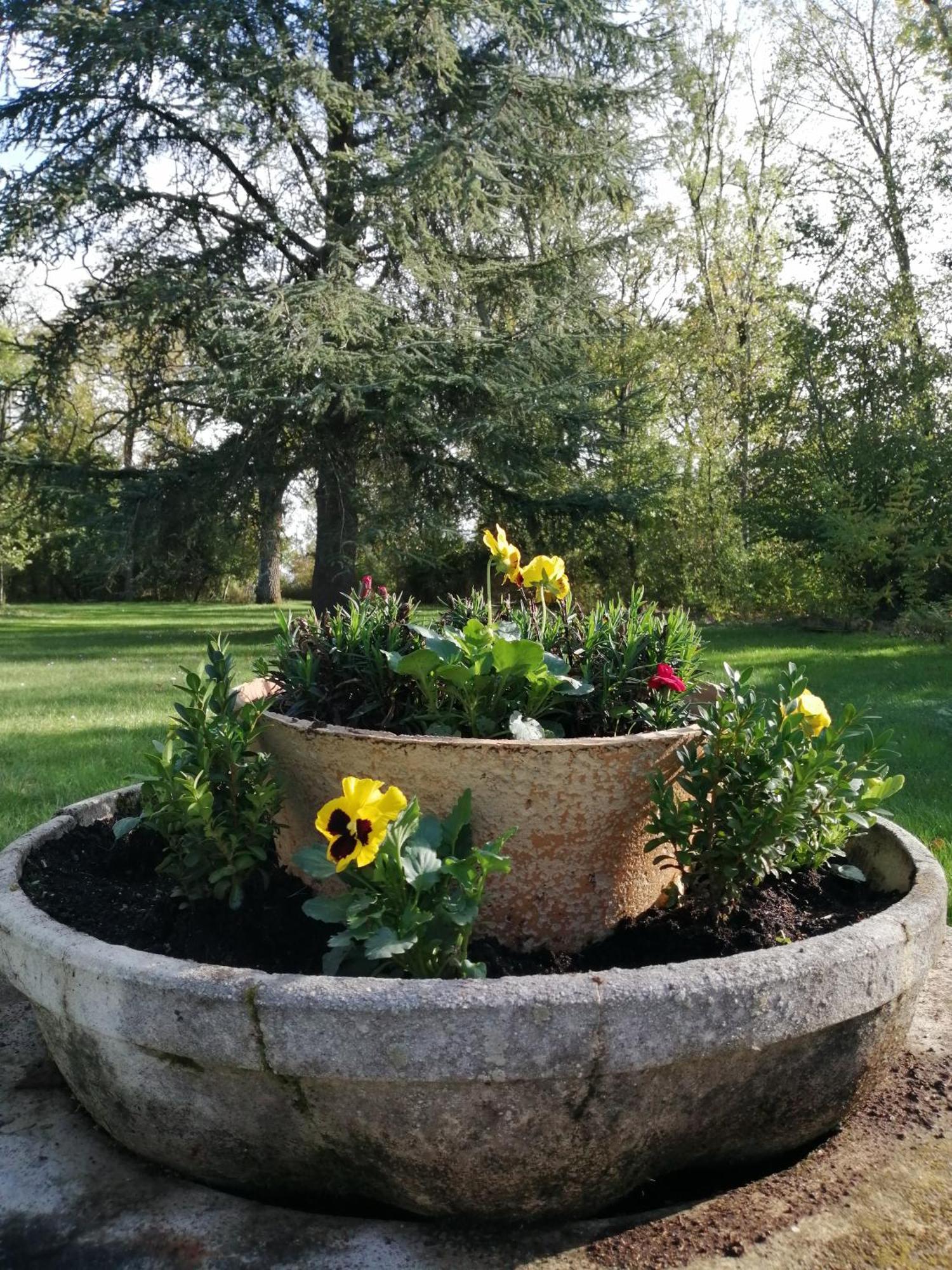 Bed and Breakfast Domaine De Prefond Bengy-sur-Craon Zimmer foto