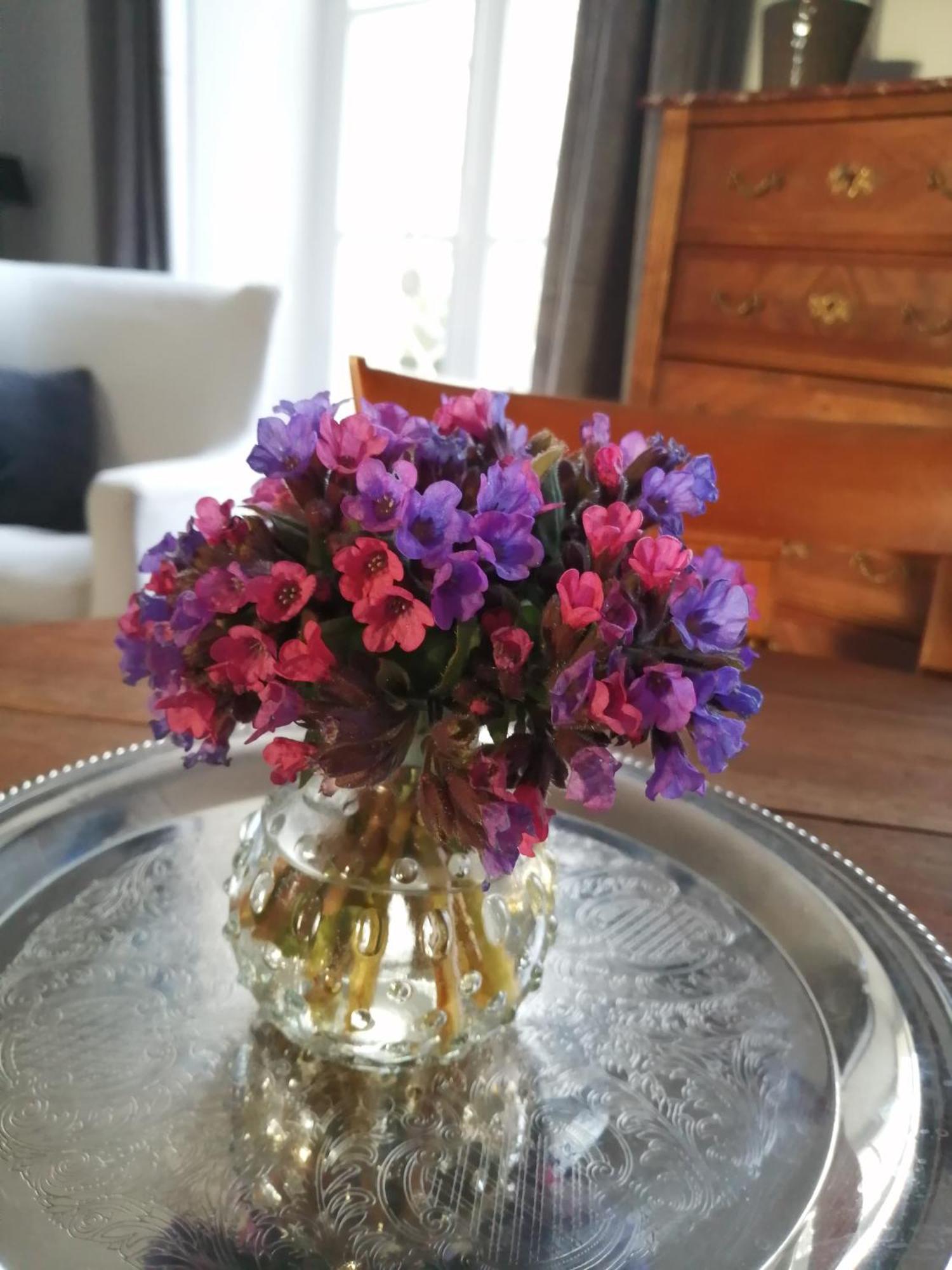 Bed and Breakfast Domaine De Prefond Bengy-sur-Craon Zimmer foto
